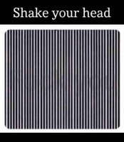 Shake_Your_Head.jpg