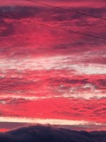 20220702_211055.jpg