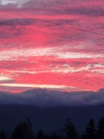 20220702_211046.jpg