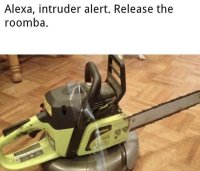 Intruder_Alert~2.jpg