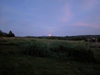 PXL_20220812_013700771.NIGHT.jpg