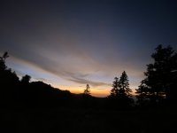 348344D6-97D3-48B5-9C93-871079EDD880.jpeg
