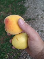 IMG_20220821_082535.jpg