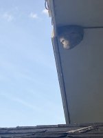 BFEAD12D-F3F7-46AA-AB17-57EC62BBF1BF.jpeg