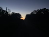 409B415F-AA2E-4021-B61F-F086314B204F.jpeg