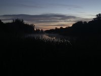 EF311AA4-42BC-4458-A1D5-863929B43546.jpeg