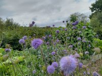 IMG_20220826_122805_HDR.jpg