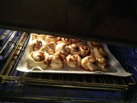 IMG_20220826_064403.jpg