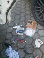 IMG_20220828_093536.jpg