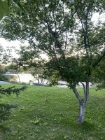 2121BE85-FE79-4C48-979B-ECC00EA4A9A5.jpeg