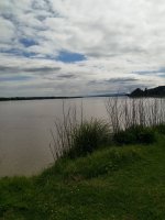 IMG_20220907_122950.jpg