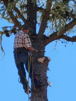 90 yr old Climber.jpg