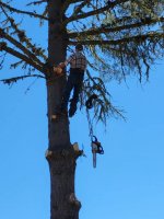 90 yr old Climber II.jpg