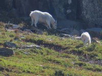 E4CEC8DF-3D40-443C-92E8-3855050232FC.jpeg