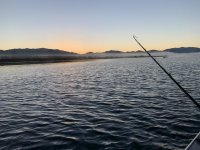 294E013D-DE8E-44D8-AA86-9687930E1F14.jpeg