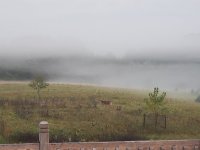 20220908_063334.jpg