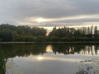 811F1933-EF06-48BC-844F-BB3023EB1382.jpeg
