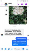 Screenshot_20220909-073214_Messenger.jpg
