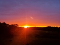 20220910_190738.jpg