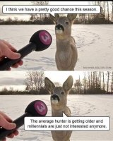 deer.jpg