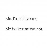 bones_n.jpg