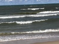 3B4C6CAA-8954-47D9-B718-5E3824E133D8.jpeg