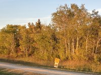 1929D551-9044-4BFB-8CF9-C7D38814175D.jpeg