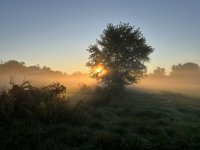 6EC0668F-BC73-477B-B7C6-E3251BD375F2.jpeg