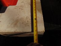 DSC01943.JPG