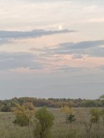 78CFE9E1-D88F-4768-9B5B-9DA2BDF5F825.jpeg