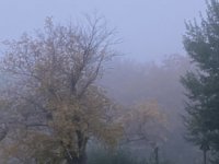 95C47A54-678D-4DEA-BE3B-09EBF71760E3.jpeg