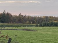 047D4149-F20C-4F0B-969C-27AD757C4E09.jpeg