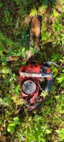 566FC008-DAF3-4CC8-81AF-F5F9889228F5.jpeg