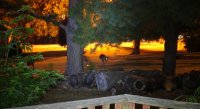DSC02083.JPG