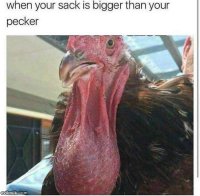 When_The_Sack_Is_Bigger.jpg