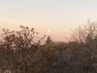 09619762-E8EA-4081-B0D2-BA47E88D4DB5.jpeg