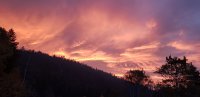 20221010_070859_resized.jpg