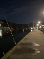 E619A669-31DD-48F9-91F6-60C8418BBA30.jpeg