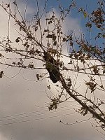 IMG_20221011_105506.jpg
