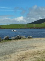 IMG_20221011_122625.jpg