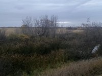 242DA4F2-6408-4E0D-9664-17B7CA6E2032.jpeg