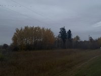 522692CD-C819-4D0E-8093-4D124C976C05.jpeg