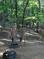 upload_2022-10-14_18-12-40.jpeg upload_2022-10-14_18-12-40.jpeg