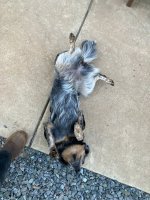 IMG_1590.jpeg