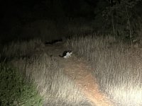 IMG_1612.jpeg