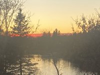 49C62FF5-9E09-4224-BE5C-3EF67001A1C6.jpeg