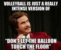 volleyball-29~2.jpg