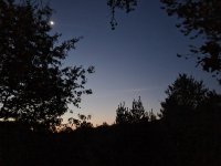 20221021_063412.jpg