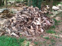 firewood_02.jpg