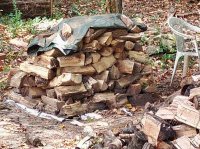 firewood_01.jpg